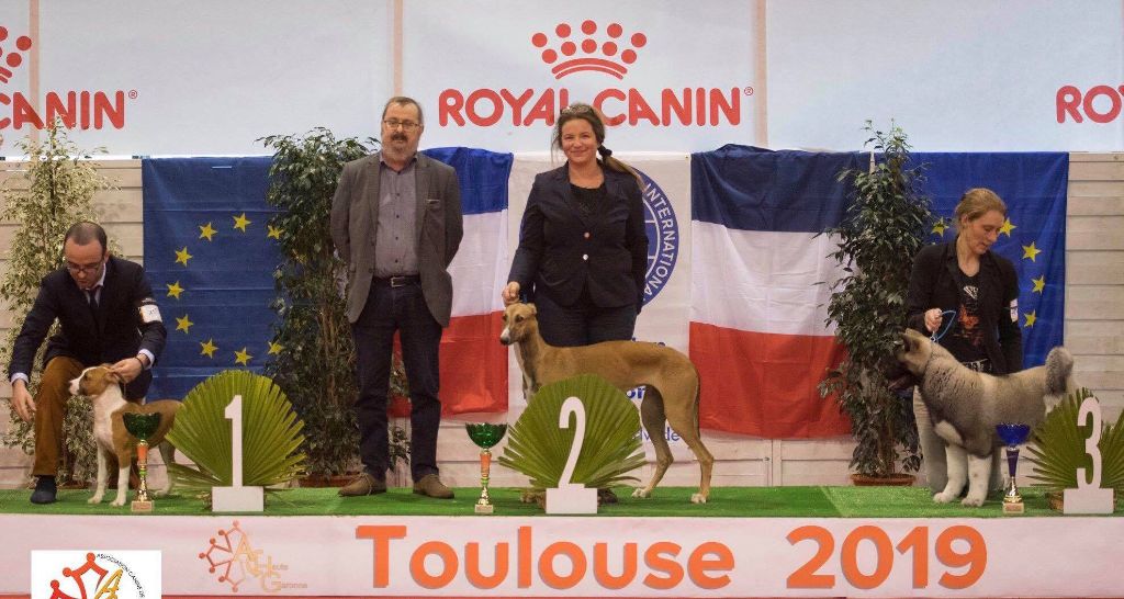 des sables d'élodie - Exposition Internationale de Toulouse 24.02.19