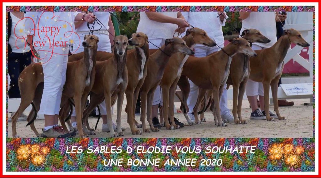 des sables d'élodie - Bonne Année à Tous