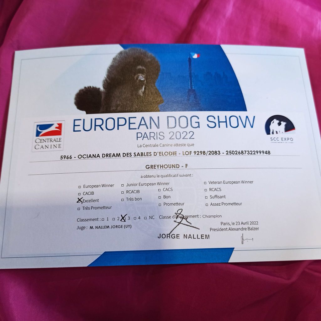 des sables d'élodie - European Dog Show 23.04.2022