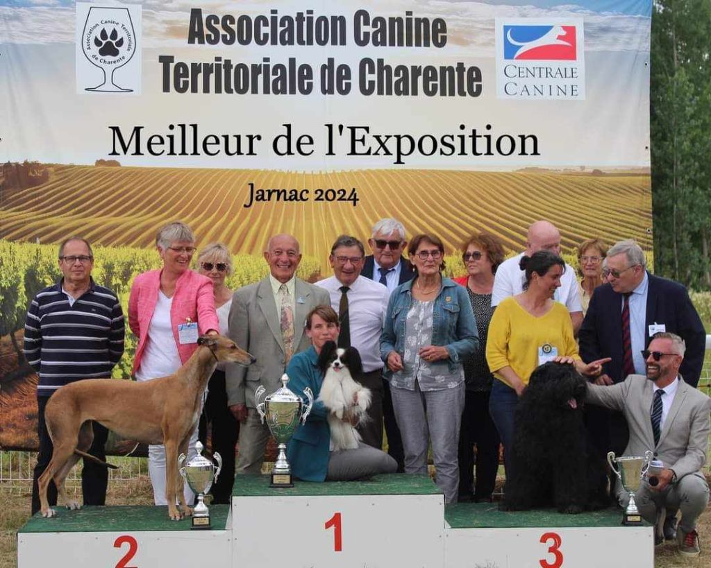 des sables d'élodie - CACS JARNAC 30.06.2024