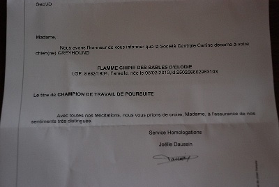 des sables d'élodie - FLAMME Championne France PVL