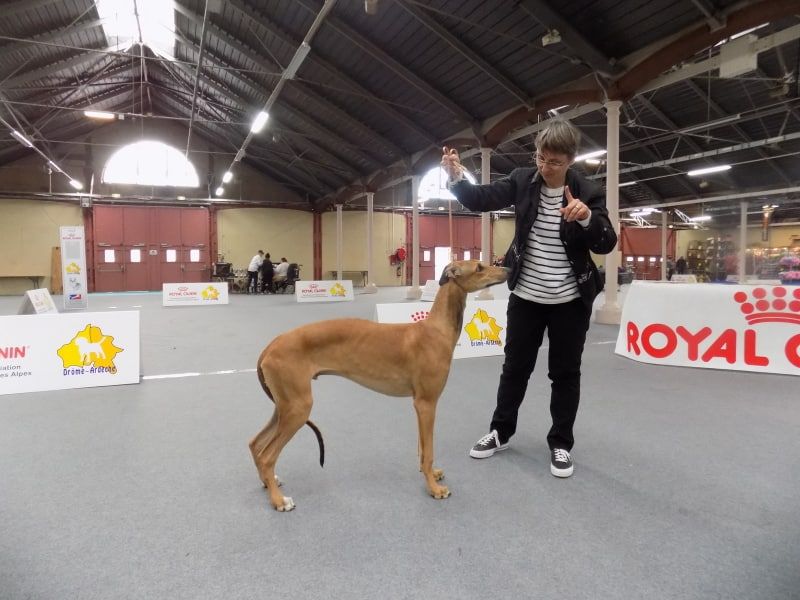 des sables d'élodie - Exposition Internationale de Valence 02.03.19