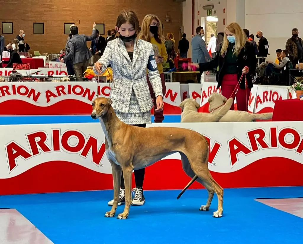 des sables d'élodie - Exposition internationale de Tarragone 19.03.22