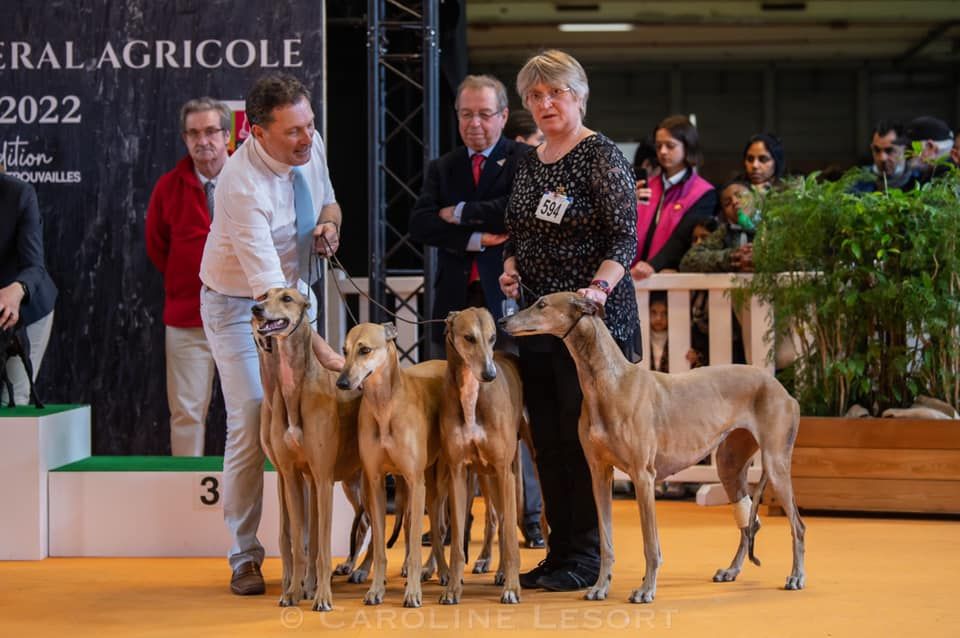 des sables d'élodie - Concours Général Agricole 2022, Une belle Journée