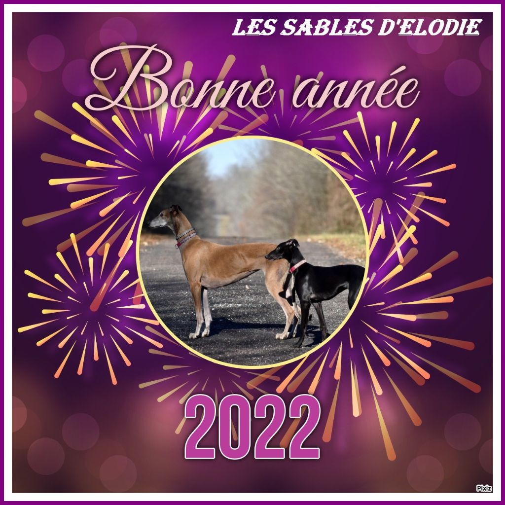 des sables d'élodie - Bonne Année à Tous