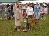  - BEST IN SHOW  COMPIEGNE 2006