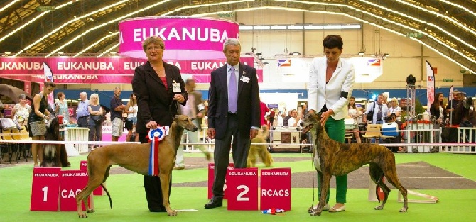 des sables d'élodie - Championnat de France Dijon 2015  Le Bonheur