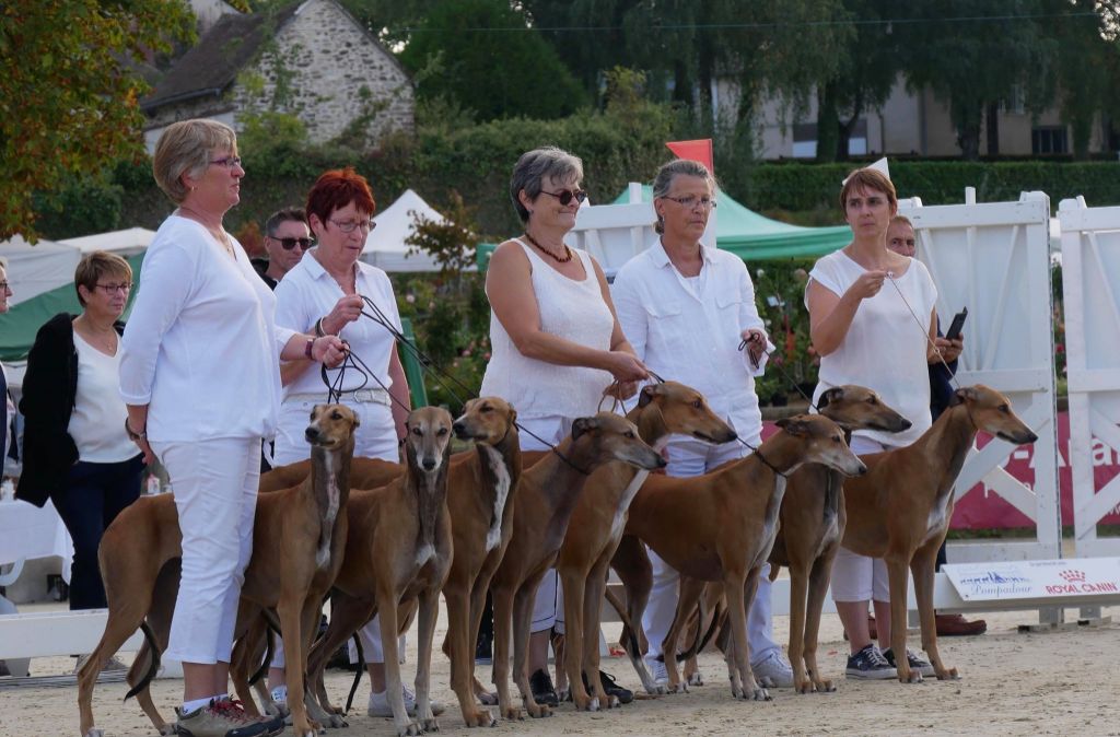 des sables d'élodie - POMPADOUR 2019