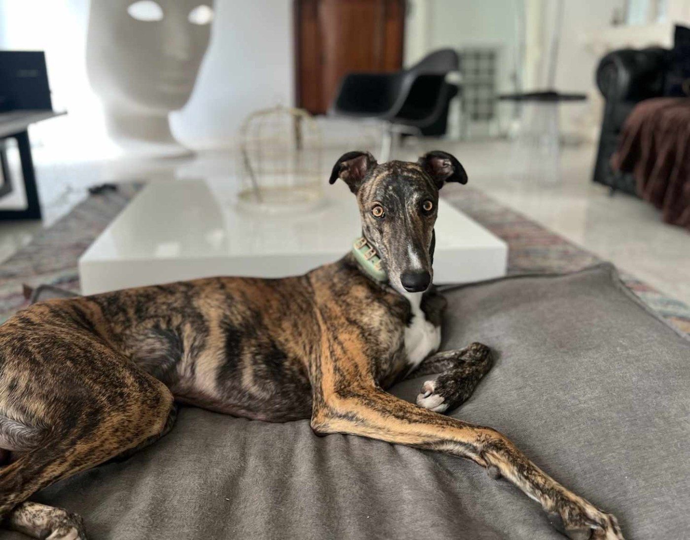 UTOPIA SAIKO des sables d'élodie