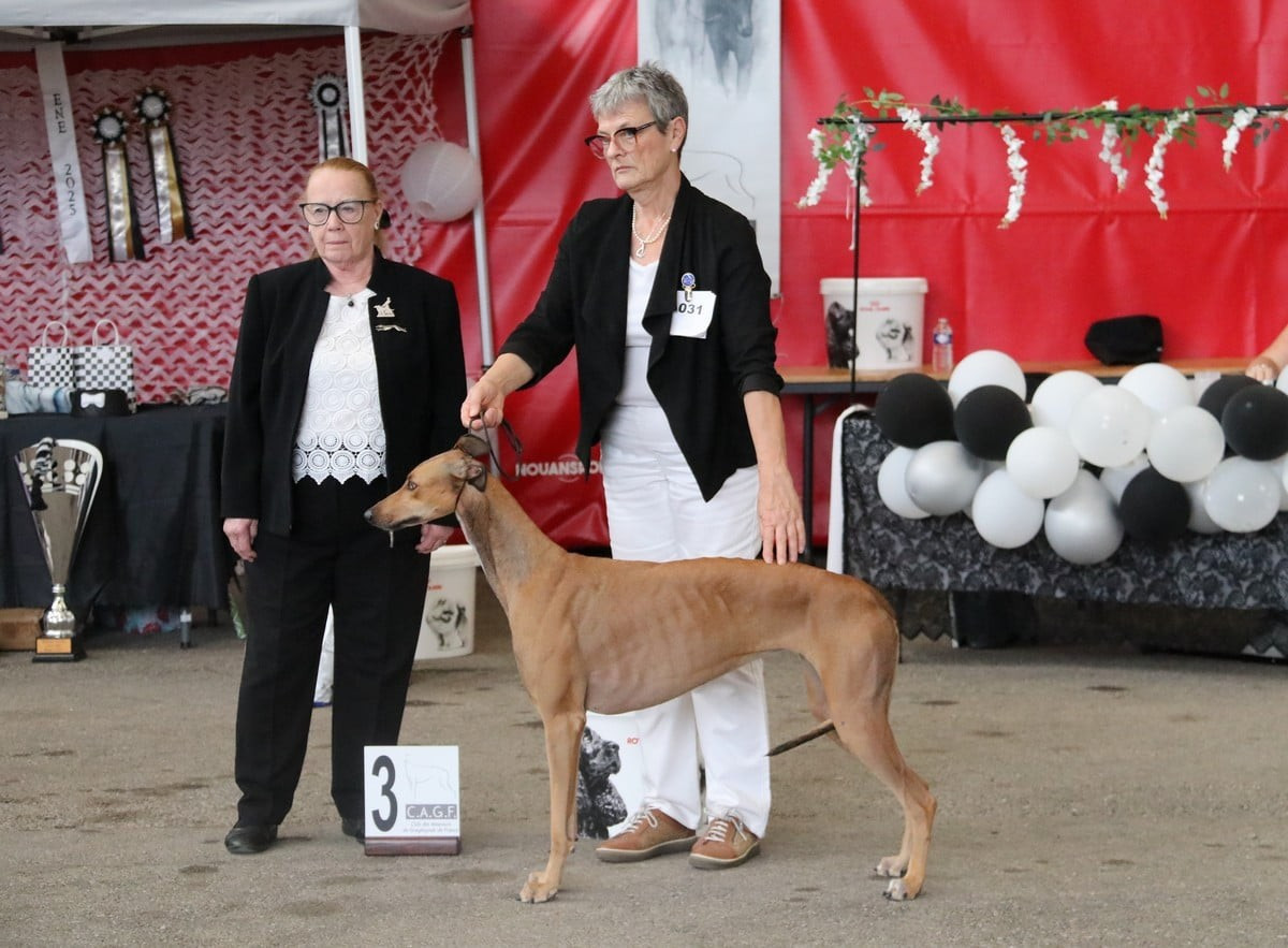 CH. UKULELE BAHIA des sables d'élodie