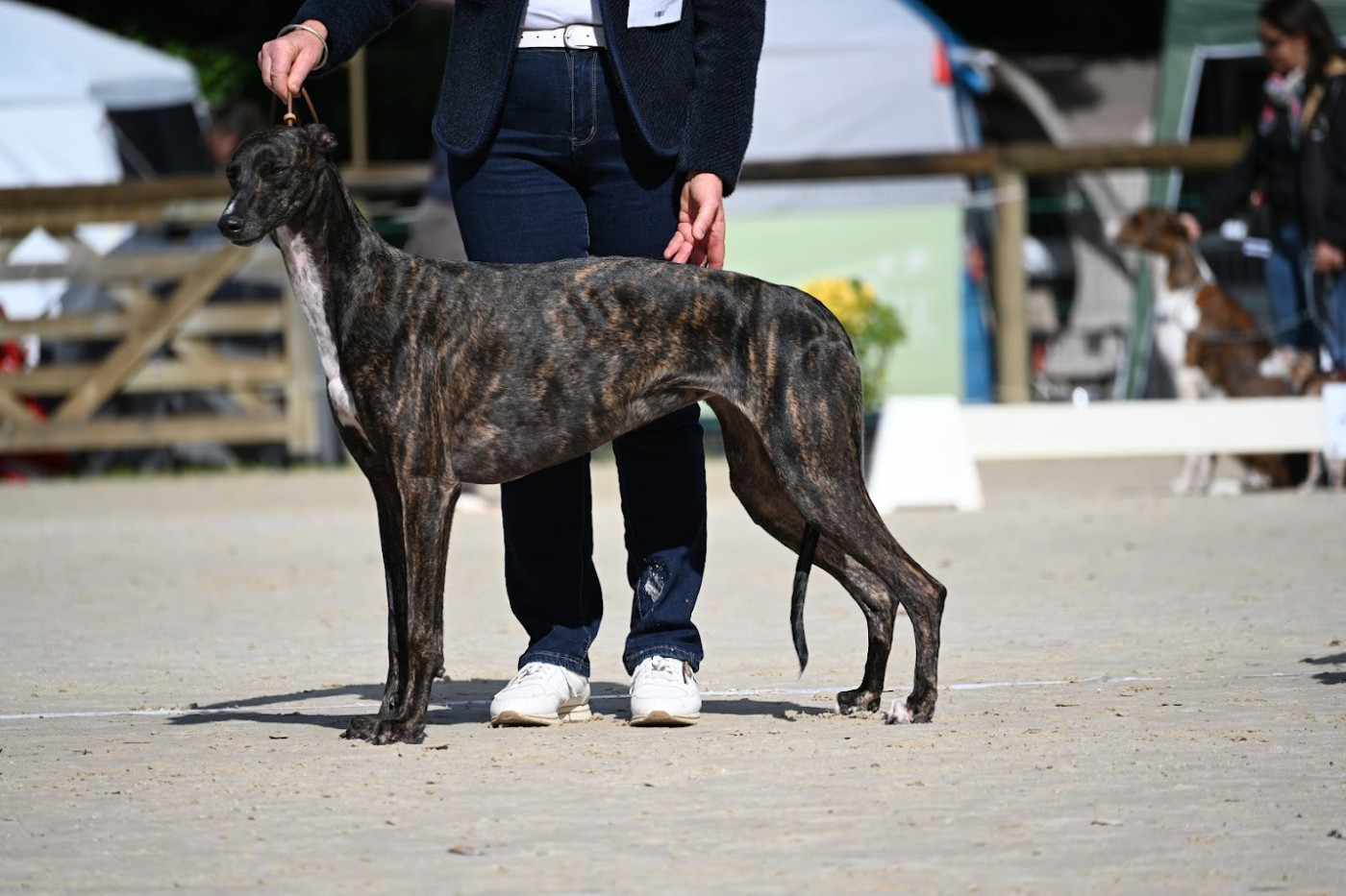 UNA BELLA ROSITA des sables d'élodie