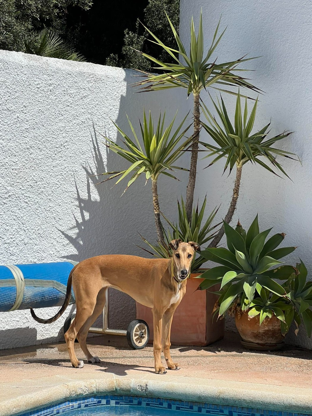 USHUAIA JOY des sables d'élodie