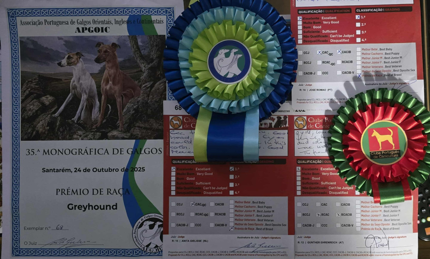 Triple Exposition de Santarem au Portugal du 24 au 25 Octobre 2025