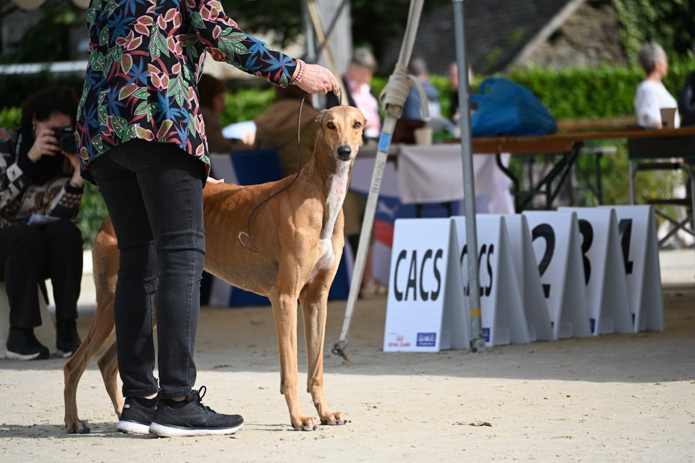 Exposition Nationale de Niort le 26.10.25