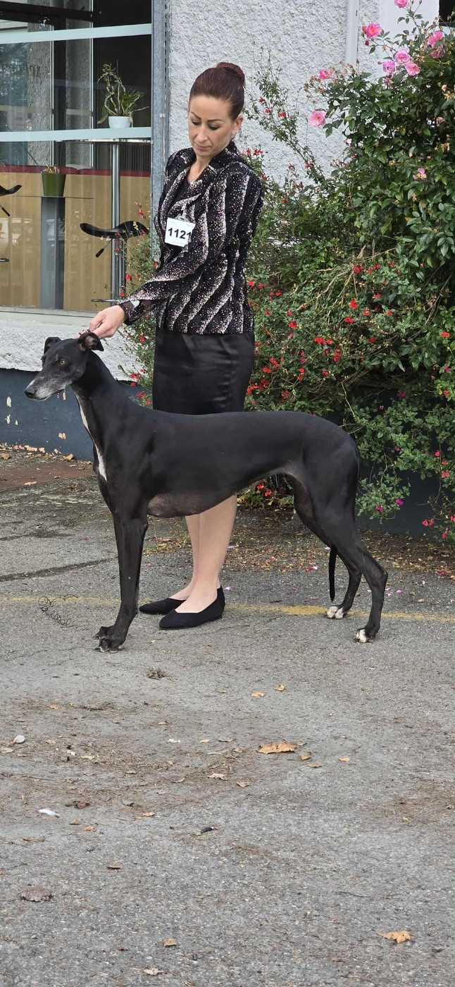 Exposition Internationale de Tarbes 16 11 2025