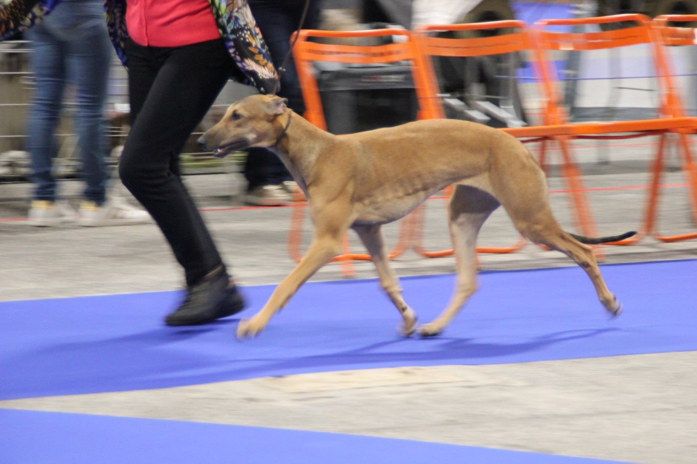 des sables d'élodie - Double Exposition de Nantes le 13 et 14 Décembre 2025