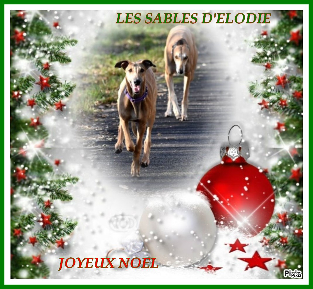 JOYEUX NOEL