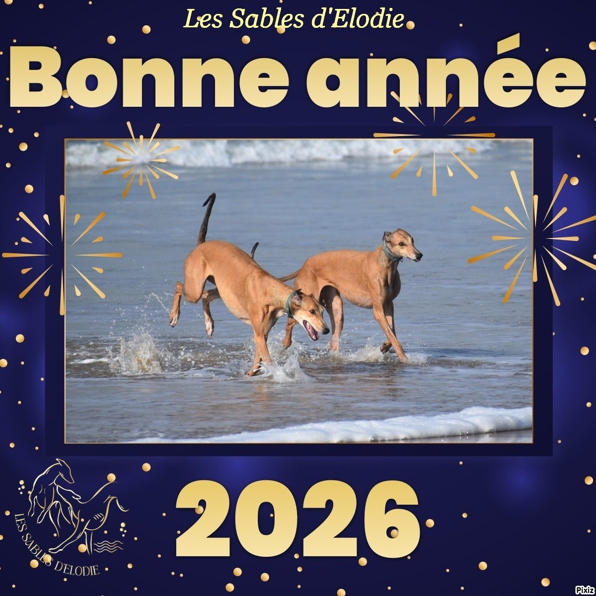 BELLE ANNEE 2026