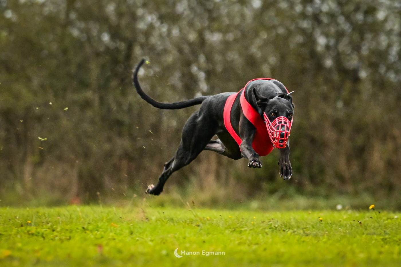 PVL Saint Denis de PIle