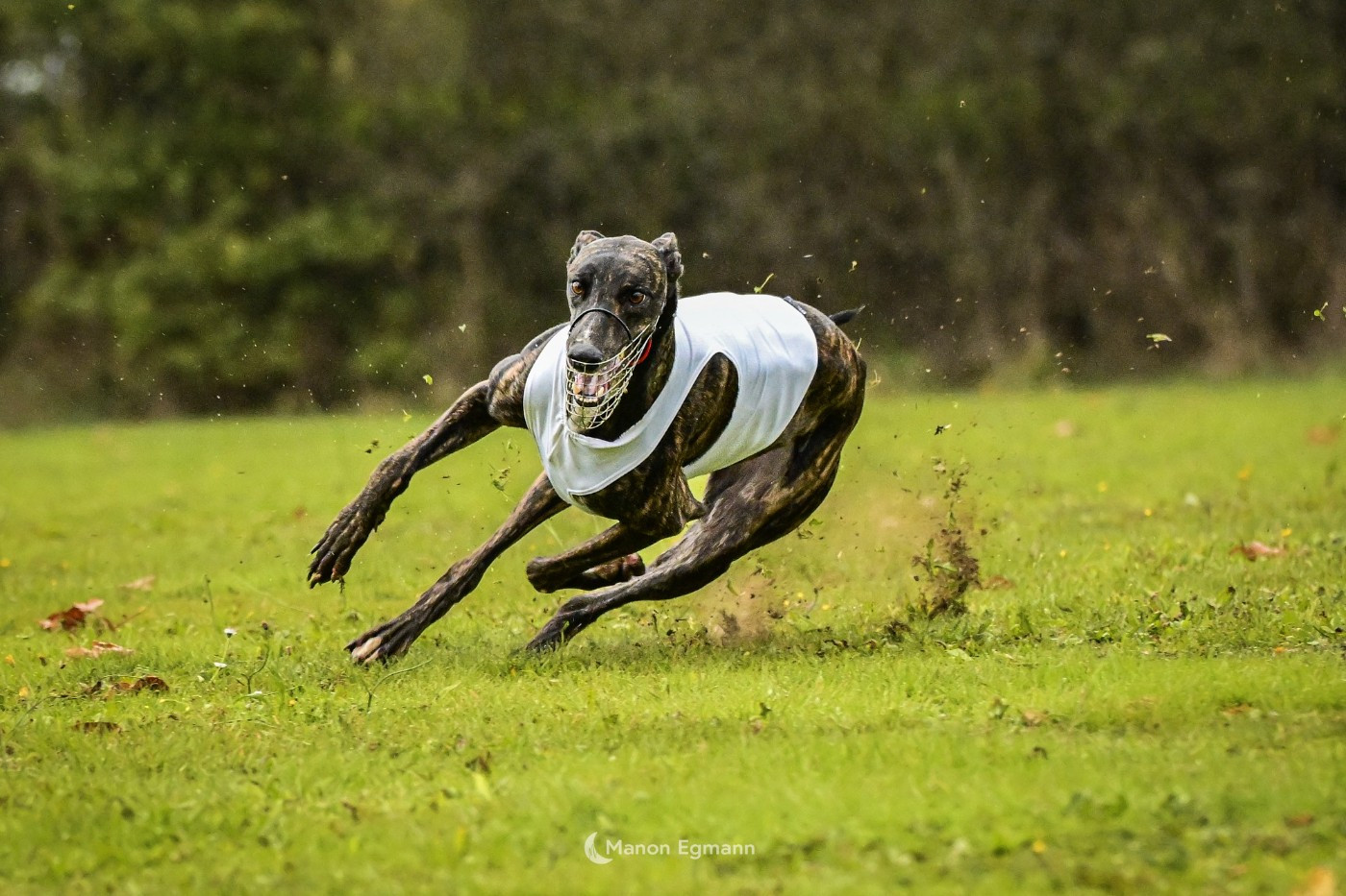 PVL de Mont de Marsan 15.03.26