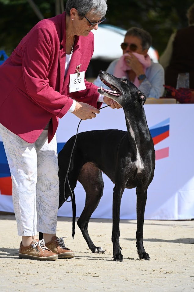 Exposition Internationale de Montluçon le 15 mars 2026