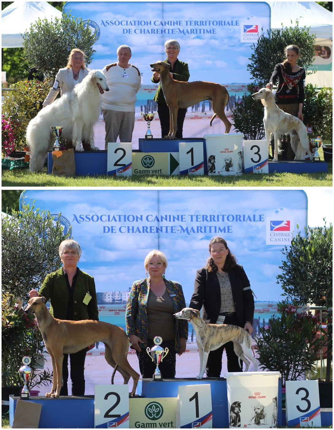Exposition Nationale de Saint Jean D'Angely le 17 mai 2026