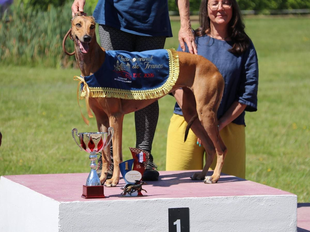 CHAMPIONNAT DE FRANCE DE RACING 2026