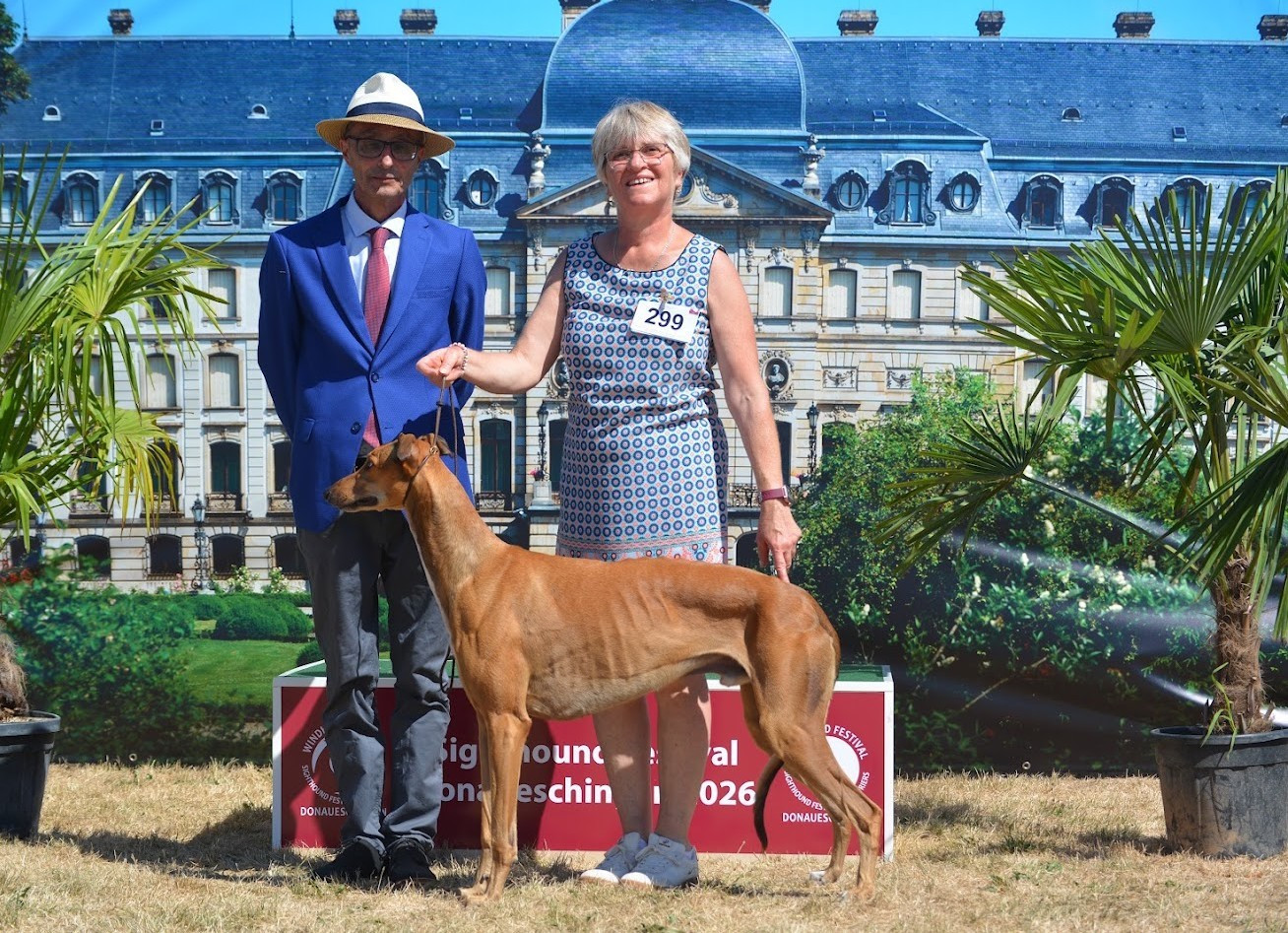 DONAUESCHINGEN SIGHTOUND FESTIVAL 08 et 09 AOUT 2026