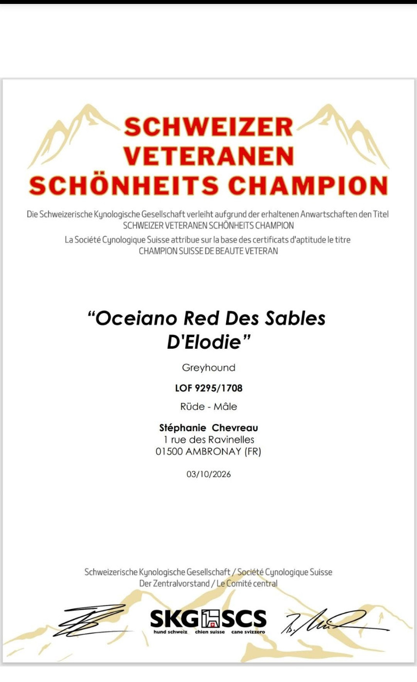 Geneva Dog Show le 2 et 3 Octobre 2026