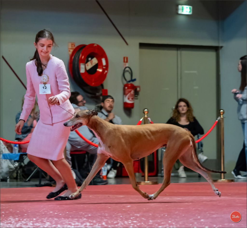 des sables d'élodie - Expositions de Ales, Limoges et Martigues 2025